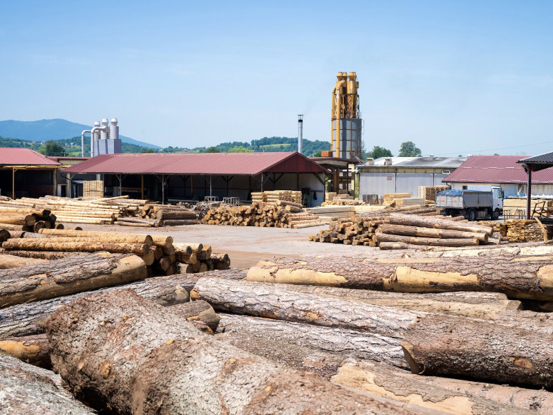 Sägewerk in Österreich mit Bewegungssystemen und Führungselementen von Reiter für präzise Holzbearbeitung